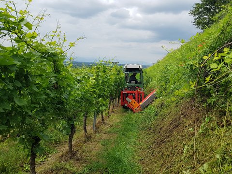 Schlegelmäher USM 13 am Fendt im Einsatz am Weinberg