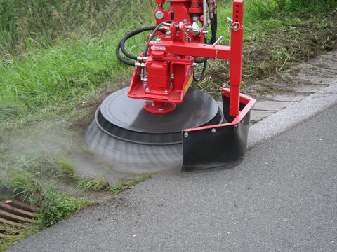 PFP befreit Rinnstein von Grünwuchs